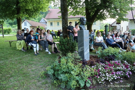 Križnikov festival  (21)